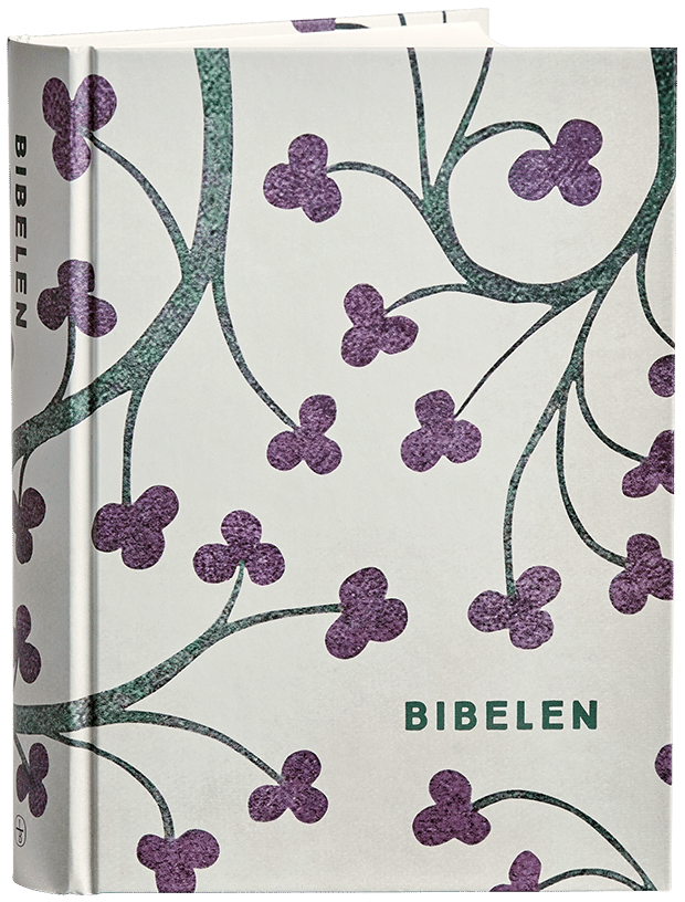 Bibelen med de deuterokanoniske skrifter